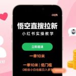 小红书拉新赚钱实操：悟空直搜教程日入多单，单笔10元低门槛0粉丝速成指南-微七七网-是一个专注于全域获客|流量矩阵化打法的团队！