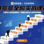 2025拼多多实战课程全新升级：零基础小白到运营高手的进阶秘籍，海量实战玩法与全年实时更新指南【9月最新版】-微七七网-是一个专注于全域获客|流量矩阵化打法的团队！
