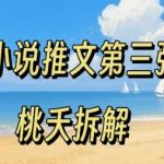 小说推文项目第三弹：0粉新手全流程操作指南，低门槛轻松入门-微七七网-是一个专注于全域获客|流量矩阵化打法的团队！