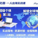 超级个体出海实战:从0到1入驻孵化器,解锁你的全球增长首站-微七七网-是一个专注于全域获客|流量矩阵化打法的团队!