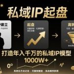 如何打造年入千万的私域IP:起盘、建立与高转化秘籍-微七七网-是一个专注于全域获客|流量矩阵化打法的团队!