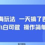 小众蓝海新发现:日入四位数完整指南,小白也能轻松复制-微七七网-是一个专注于全域获客|流量矩阵化打法的团队!
