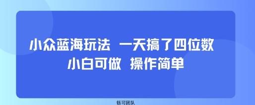 小众蓝海新发现：日入四位数完整指南，小白也能轻松复制-微七七网-是一个专注于全域获客|流量矩阵化打法的团队！