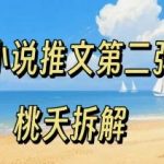 小说推文项目第二弹：零粉丝全流程实操，低门槛新手轻松入门指南-微七七网-是一个专注于全域获客|流量矩阵化打法的团队！