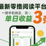 2024零撸阅读平台真曝：手机日赚300元零投入，无门槛人人可做，轻松提现秘籍！-微七七网-是一个专注于全域获客|流量矩阵化打法的团队！