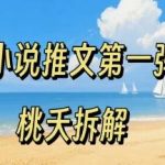 小说推文项目零基础入门全流程：新手必看的第一弹操作指南，0粉丝低门槛轻松启动-微七七网-是一个专注于全域获客|流量矩阵化打法的团队！