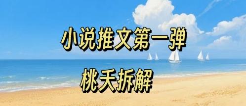 小说推文项目零基础入门全流程：新手必看的第一弹操作指南，0粉丝低门槛轻松启动-微七七网-是一个专注于全域获客|流量矩阵化打法的团队！