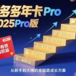 拼多多年卡2025PRO版终极指南：五大板块从认知基础到推广活动玩法全解析-微七七网-是一个专注于全域获客|流量矩阵化打法的团队！