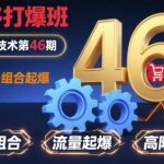 独家揭秘拼多多打爆班第46期：原创组合起爆高阶技术实战指南-微七七网-是一个专注于全域获客|流量矩阵化打法的团队！