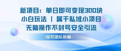 小白安全引流新项目：日赚300元无脑操作教程，零封号适合新手实战！-微七七网-是一个专注于全域获客|流量矩阵化打法的团队！