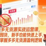 拼多多无货源快速盈利实战课：零囤货新手入门，3天轻松掌握独家运营秘籍-微七七网-是一个专注于全域获客|流量矩阵化打法的团队！