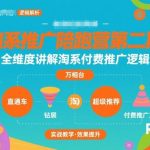 淘系付费推广逻辑全维度揭秘：第二期陪跑营实战技巧精讲-微七七网-是一个专注于全域获客|流量矩阵化打法的团队！