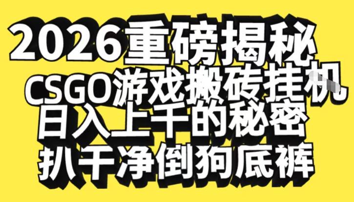 2026年CSGO游戏搬砖终极揭秘：日入1000+暴利技巧全解析，独家内幕大公开-微七七网-是一个专注于全域获客|流量矩阵化打法的团队！