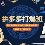 拼多多饰品项目打爆班第53期：原创高阶技术实操全攻略-微七七网-是一个专注于全域获客|流量矩阵化打法的团队！