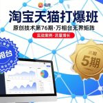 淘宝天猫打爆班第76期：万相台无界矩阵原创技术实战高效揭秘-微七七网-是一个专注于全域获客|流量矩阵化打法的团队！
