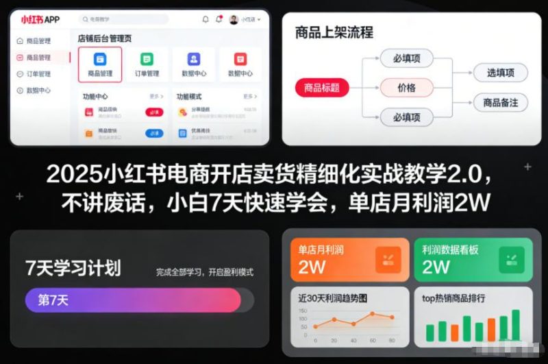 2025小红书电商开店速盈利实战教程：零基础7天快速上手，单店月入2W精细化运营指南-微七七网-是一个专注于全域获客|流量矩阵化打法的团队！