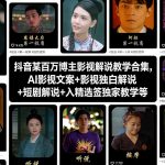 抖音百万粉丝博主亲授：影视解说全攻略，AI文案撰写+独白解说技巧+短剧解说实战+入精选签独家秘籍-微七七网-是一个专注于全域获客|流量矩阵化打法的团队！