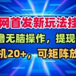 全网独家揭秘：挂G盒子自动賺米实操教程，单机日入20+矩阵放大，长期稳定运营攻略-微七七网-是一个专注于全域获客|流量矩阵化打法的团队！