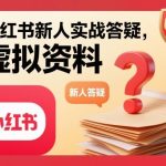 小红书新人必备指南：虚拟资料项目实战答疑全解析-微七七网-是一个专注于全域获客|流量矩阵化打法的团队！