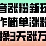 抖音涨粉新技巧：操作简单快速增量，实战3天突破万粉实战-微七七网-是一个专注于全域获客|流量矩阵化打法的团队！