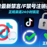 2024抖音禁言禁号注销技术实测，正规渠道24小时快速解封账号-微七七网-是一个专注于全域获客|流量矩阵化打法的团队！