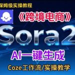 SORA2实战教学：跨境电商英文短视频生成与搭建教程，从入门到精通一学就会-微七七网-是一个专注于全域获客|流量矩阵化打法的团队！