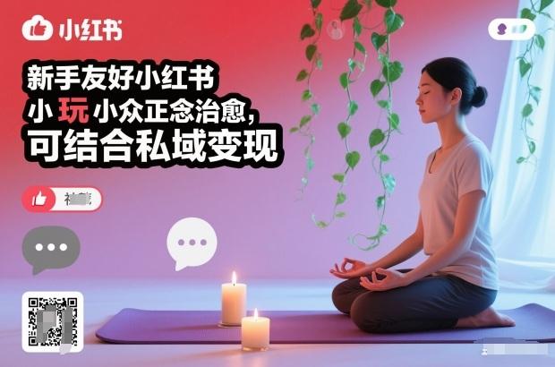 零基础入门小红书正念治愈：小众赛道三步变现私域，新手轻松上手-微七七网-是一个专注于全域获客|流量矩阵化打法的团队！