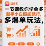 拼多多爆单玩法一节课速成：新手小白照搬指南，快速引爆销量-微七七网-是一个专注于全域获客|流量矩阵化打法的团队！