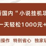 揭秘国内小说挂G项目：多窗口无脑跑日赚1K+，超省心赚钱攻略【实操教程】-微七七网-是一个专注于全域获客|流量矩阵化打法的团队！