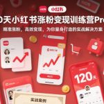 专为你量身打造的小红书涨粉变现实战营：120天精准高效变现训练营PRO版-微七七网-是一个专注于全域获客|流量矩阵化打法的团队！