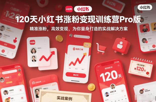 专为你量身打造的小红书涨粉变现实战营：120天精准高效变现训练营PRO版-微七七网-是一个专注于全域获客|流量矩阵化打法的团队！