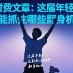 2024年轻人翻身机会全解析：这届青年必须抓住的三大黄金赛道-微七七网-是一个专注于全域获客|流量矩阵化打法的团队！