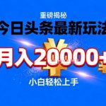 独家揭秘今日头条躺赚玩法：小白轻松上手操作，快速实现月入2W+赚钱秘籍-微七七网-是一个专注于全域获客|流量矩阵化打法的团队！