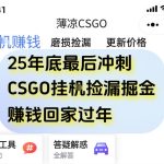 年底CSGO赚钱秘籍：手机挂机捡漏攻略，日入500+终极掘金机会揭秘！-微七七网-是一个专注于全域获客|流量矩阵化打法的团队！