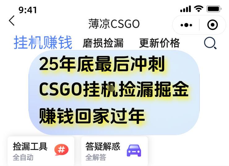 年底CSGO赚钱秘籍：手机挂机捡漏攻略，日入500+终极掘金机会揭秘！-微七七网-是一个专注于全域获客|流量矩阵化打法的团队！