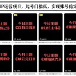 抖音IP运营实战指南：今日主题玩法揭秘，低门槛起号实现账号稳定增长-微七七网-是一个专注于全域获客|流量矩阵化打法的团队！