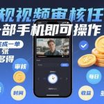 手机视频审核兼职真实现状：20秒单子日赚400+，正规平台多劳多得实操揭秘-微七七网-是一个专注于全域获客|流量矩阵化打法的团队！