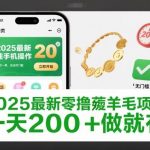 2025年独家零撸薅羊毛项目揭秘：手机操作20秒一单，无门槛日赚200+轻松实现-微七七网-是一个专注于全域获客|流量矩阵化打法的团队！