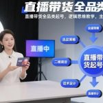 直播带货全品类起号实战秘籍：逻辑思维教学与主播运营全流程完整指南-微七七网-是一个专注于全域获客|流量矩阵化打法的团队！