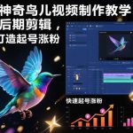 神奇鸟儿视频制作全教程：创意后期剪辑技巧，快速起号涨粉秘籍大公开-微七七网-是一个专注于全域获客|流量矩阵化打法的团队！
