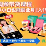 短视频带货变现实战课：零基础小白副业月入过万指南，轻松上手赚取额外收入-微七七网-是一个专注于全域获客|流量矩阵化打法的团队！