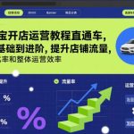 淘宝开店直通车实战教程：系统学习运营技巧，快速提升流量与转化率（11月最新版）-微七七网-是一个专注于全域获客|流量矩阵化打法的团队！