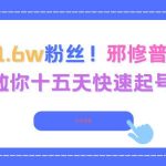 邪修普法账号15天快速起号秘籍：3.8万赞1.6万粉丝实战攻略，独家揭秘速成法则-微七七网-是一个专注于全域获客|流量矩阵化打法的团队！