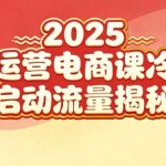 2025小红书电商运营独家秘籍：新手冷启动实战与流量暴涨全攻略-微七七网-是一个专注于全域获客|流量矩阵化打法的团队！