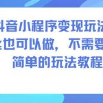 抖音小程序变现实战教程：0粉丝零成本操作，简单玩法一学就会-微七七网-是一个专注于全域获客|流量矩阵化打法的团队！