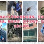 抖音万物科普解说实战课：揭秘精选流量密码，独家干货教学助你高效涨粉变现-微七七网-是一个专注于全域获客|流量矩阵化打法的团队！