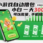 小游戏自动撸包揭秘：手机批量操作实战，小白日赚300+终极教程-微七七网-是一个专注于全域获客|流量矩阵化打法的团队！