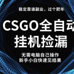 【独家揭秘】CSGO全自动捡漏新玩法：2023稳定副业攻略，新手小白轻松日入500+赚钱秘籍-微七七网-是一个专注于全域获客|流量矩阵化打法的团队！