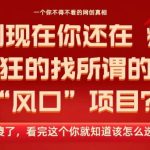 2026年风口项目终极揭秘：别再傻傻寻找，一文看懂所有真相！-微七七网-是一个专注于全域获客|流量矩阵化打法的团队！