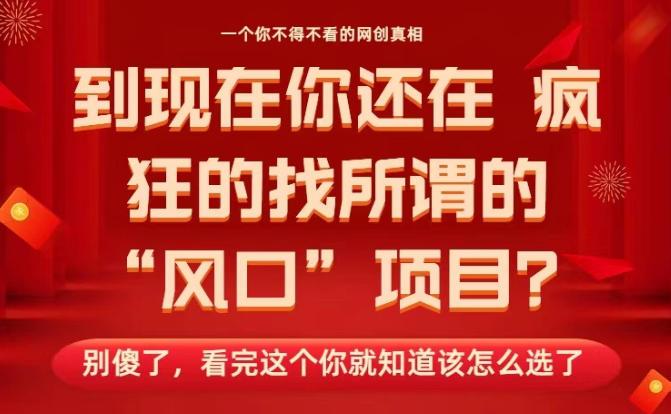 2026年风口项目终极揭秘：别再傻傻寻找，一文看懂所有真相！-微七七网-是一个专注于全域获客|流量矩阵化打法的团队！